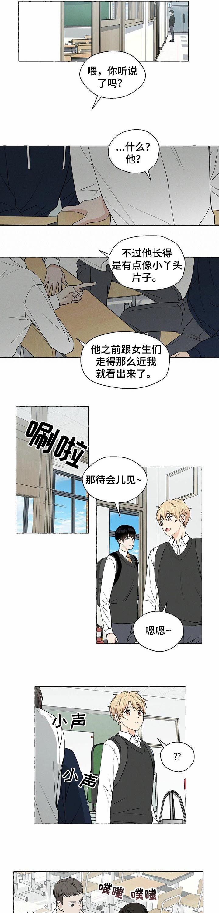 第28章：议论