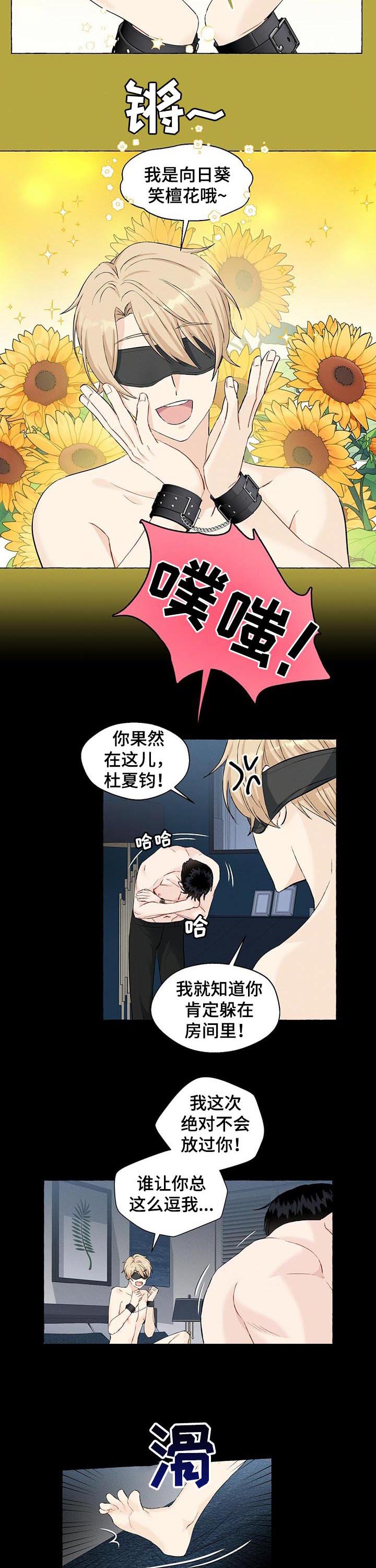 第35章：捉迷藏