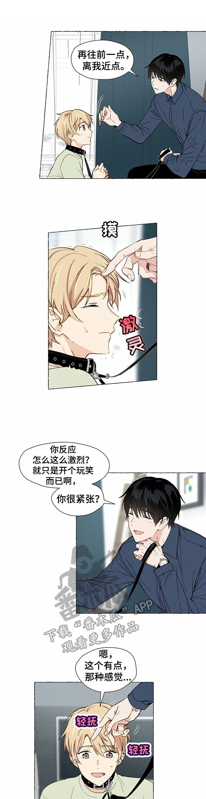 第5章：试试看