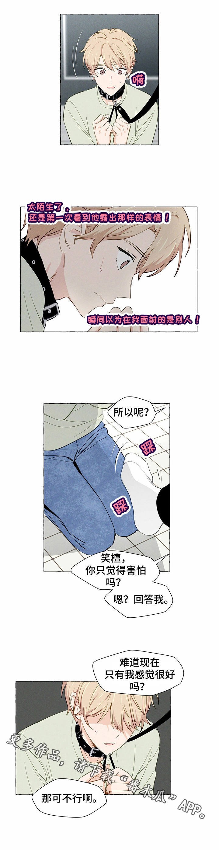 第5章：试试看