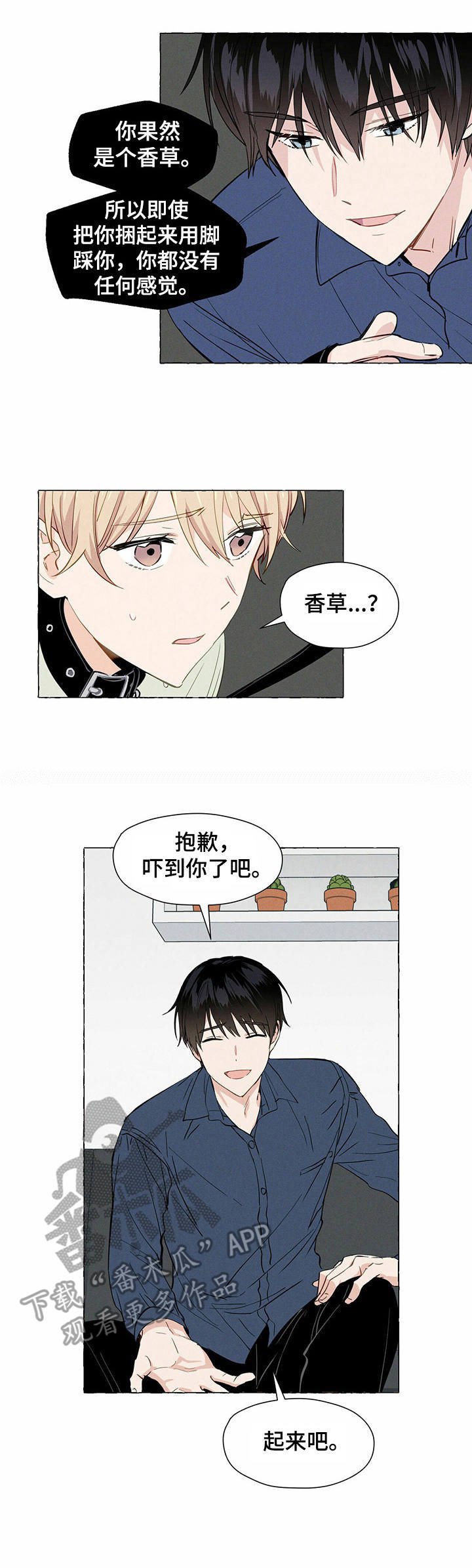 第5章：试试看