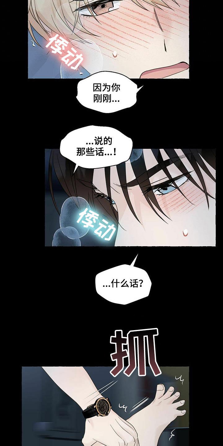 第61章：解释