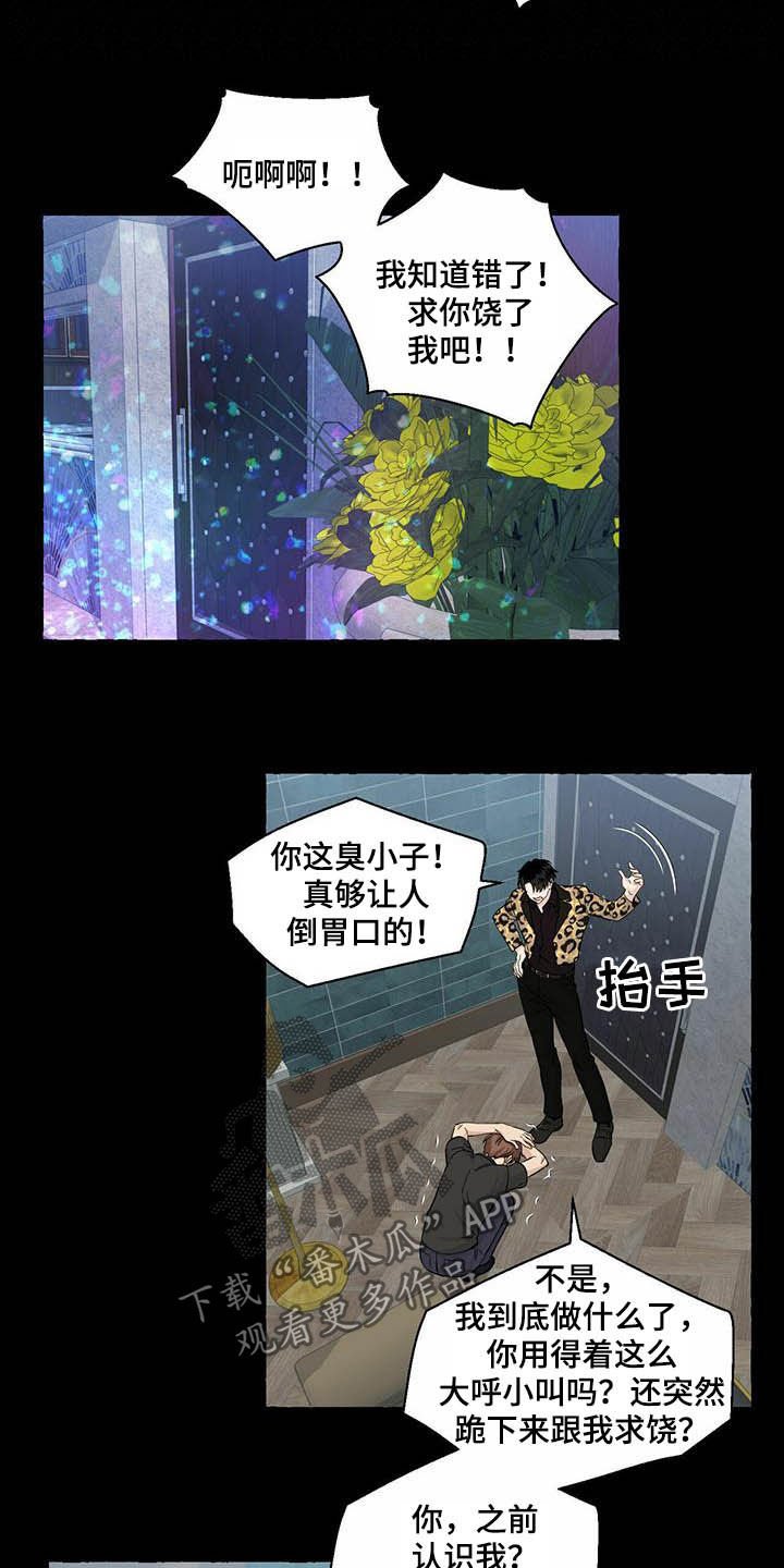 第67章：视频