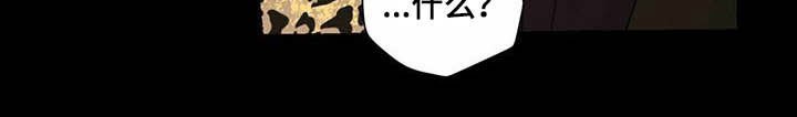 第67章：视频
