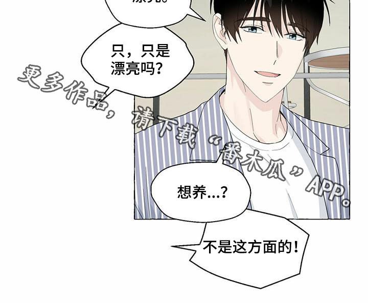 第71章：耍赖