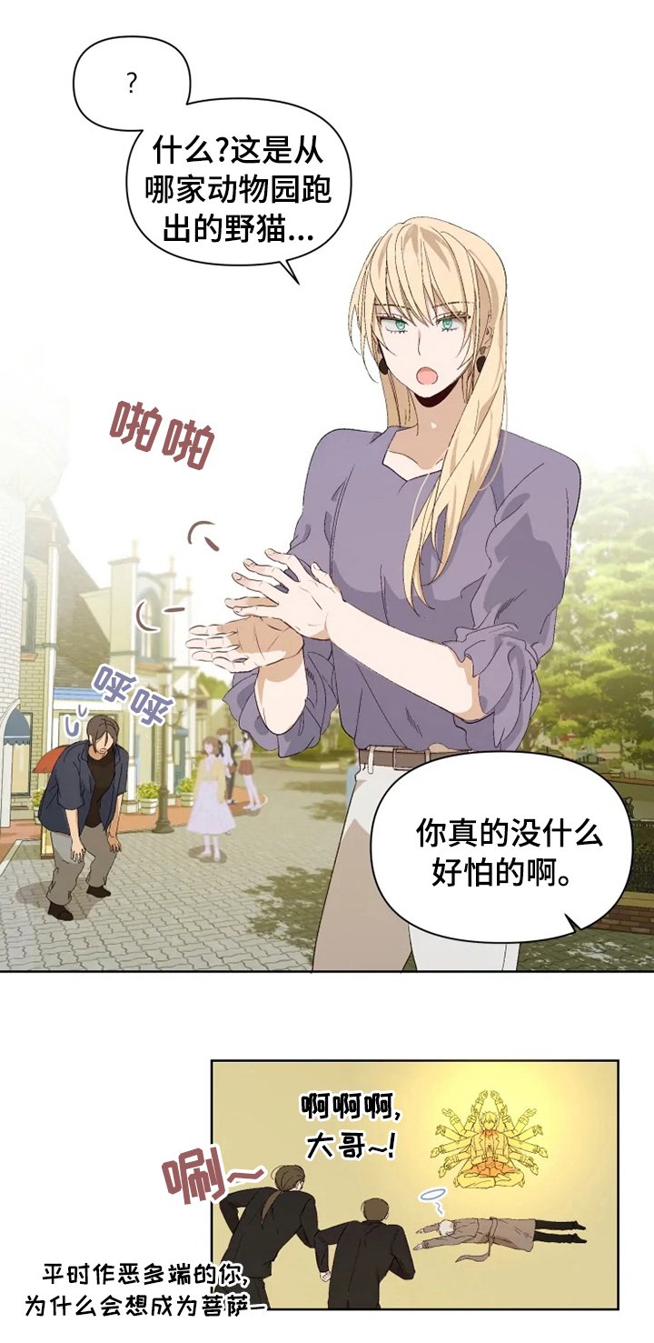第25章：结论