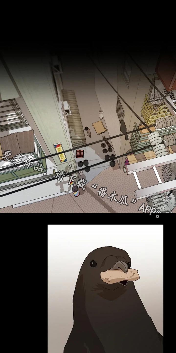 第48章：糟了