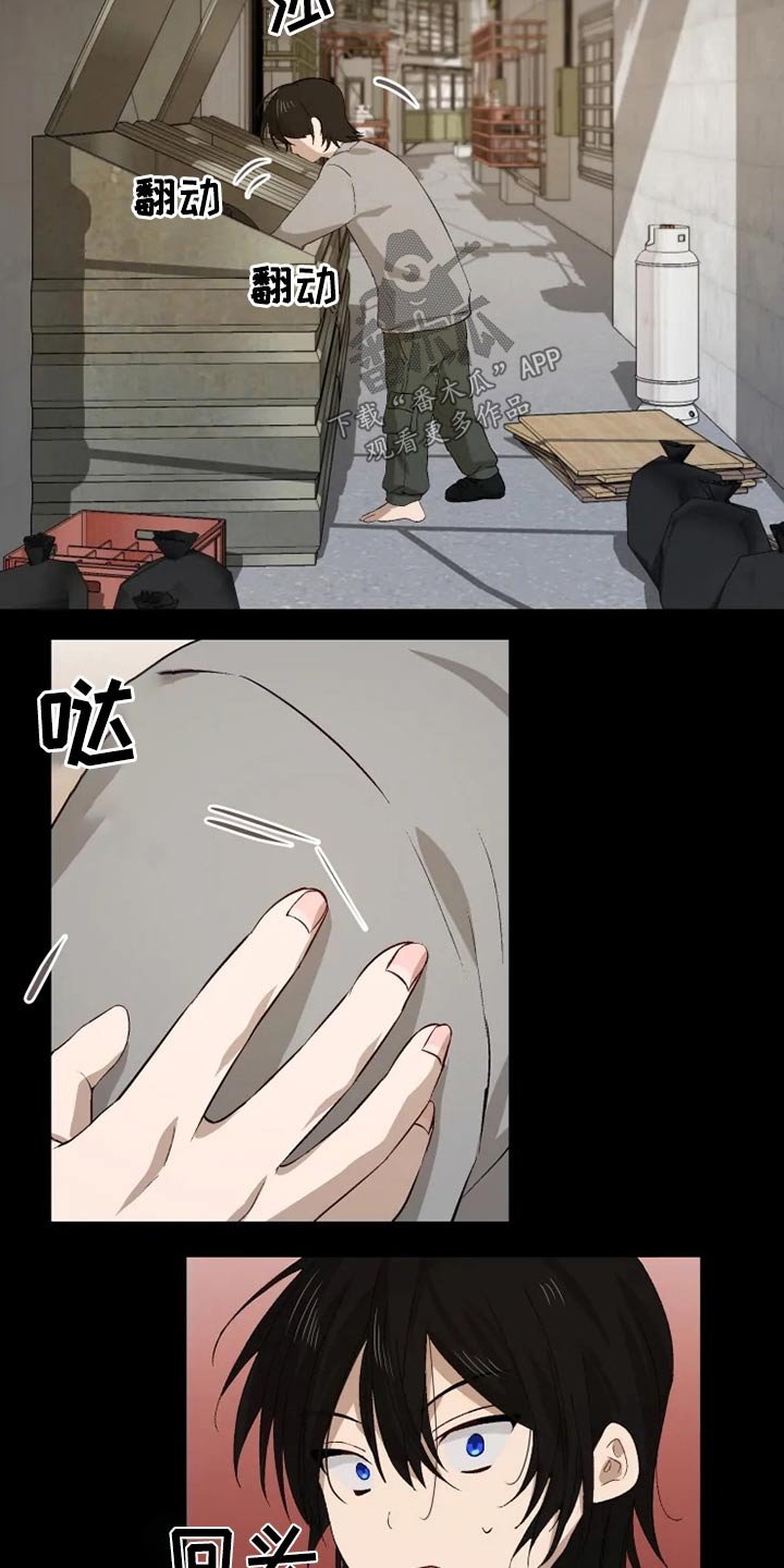第48章：糟了