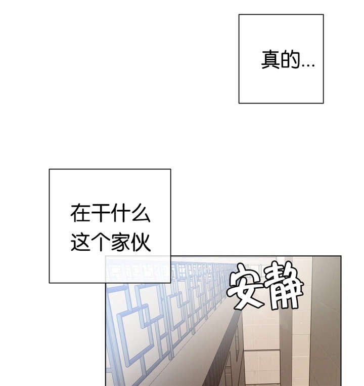 第28章：抽烟