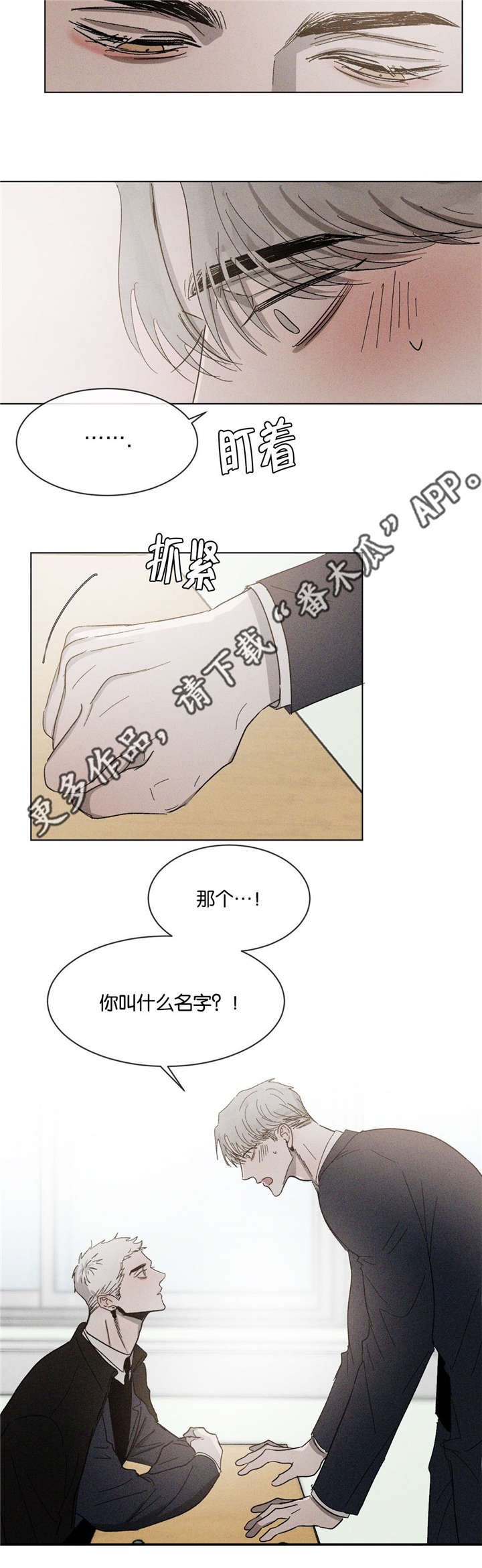 第49章：一见钟情