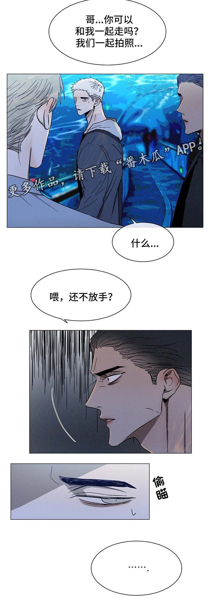 第60章：选择