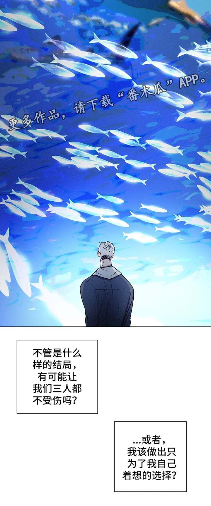 第60章：选择