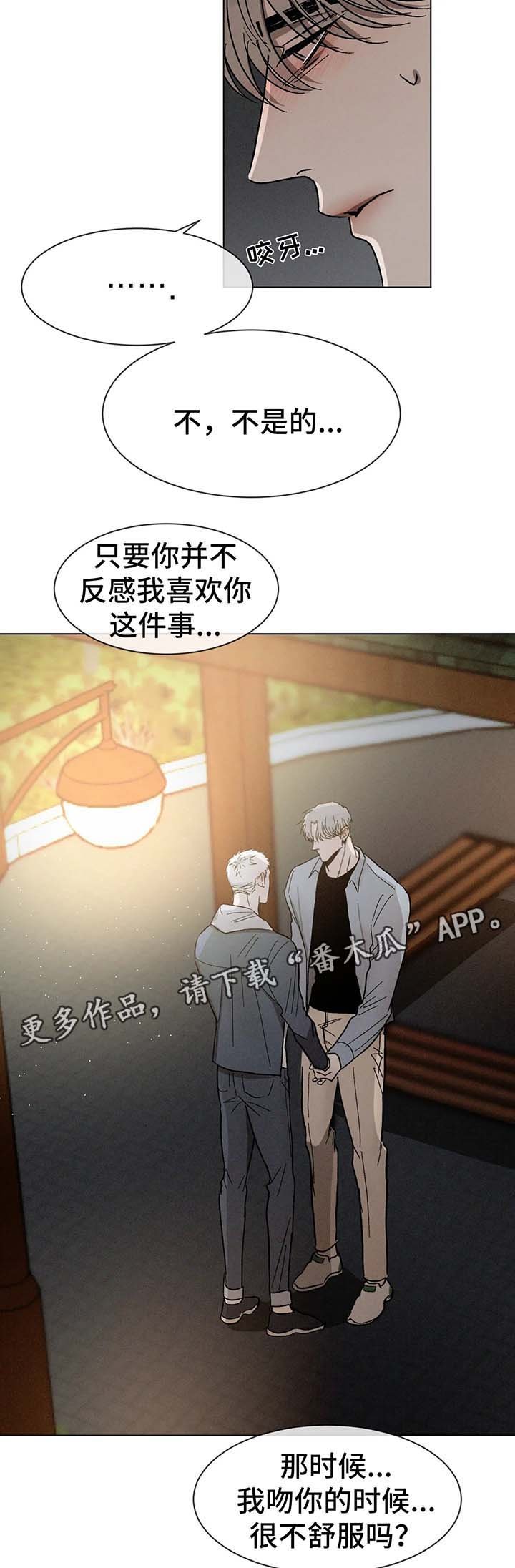 第65章：继续喜欢你