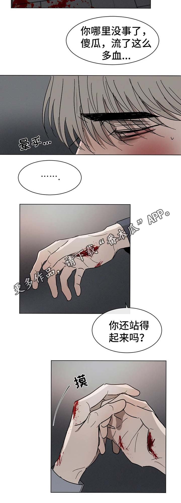 第67章：受伤