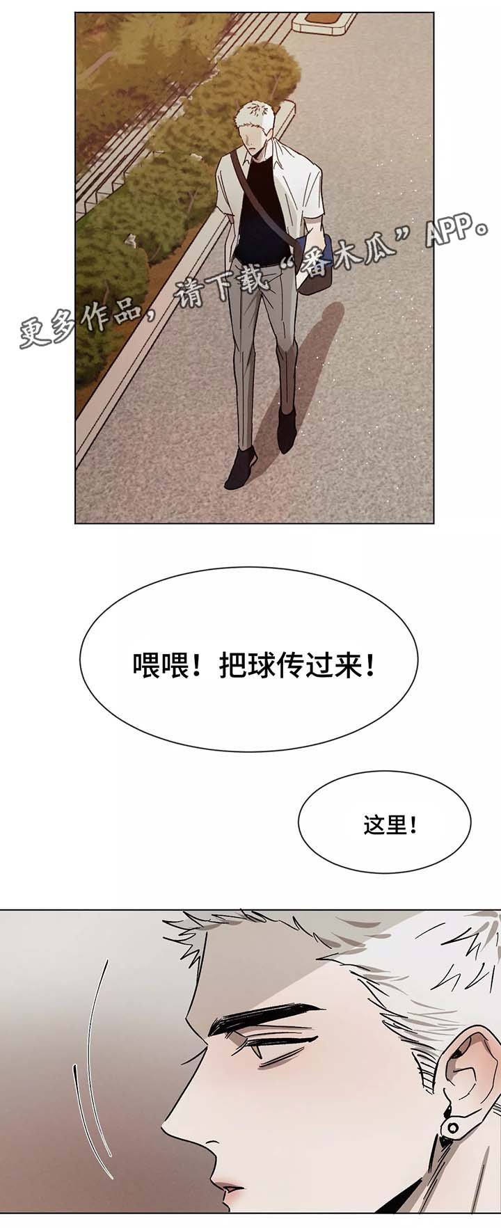 第73章：对峙