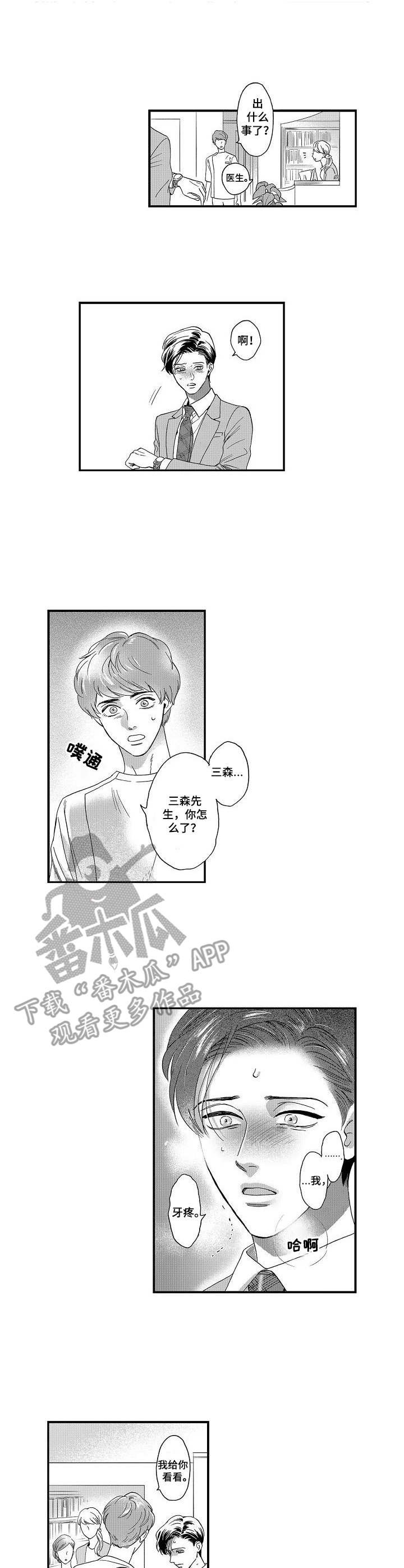 第13章：解释