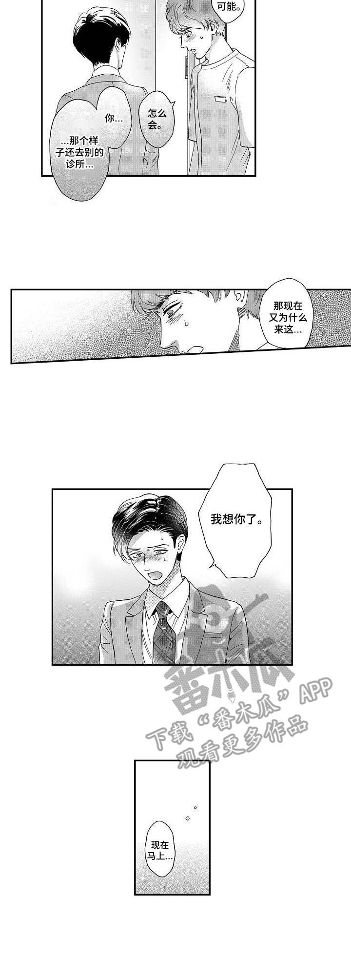 第13章：解释
