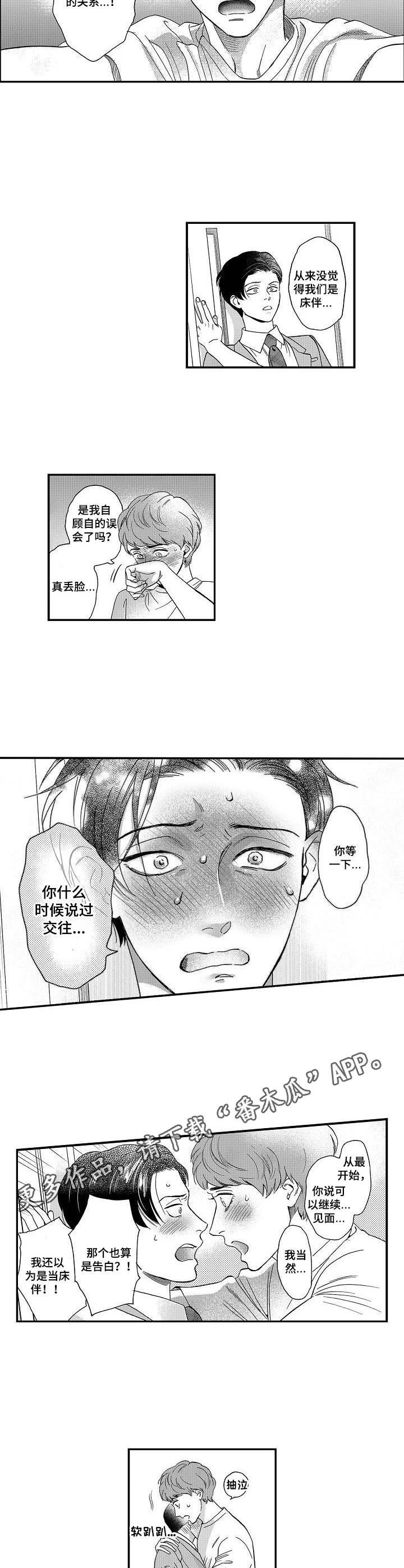 第13章：解释