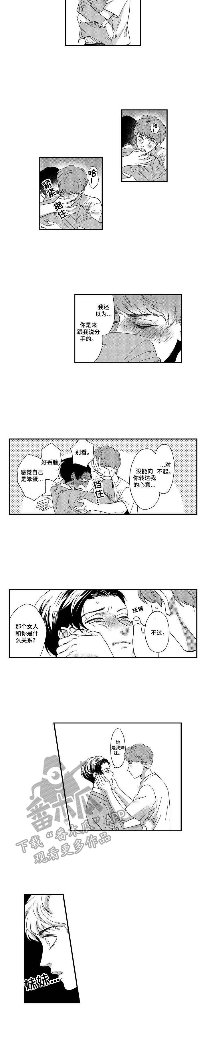 第13章：解释