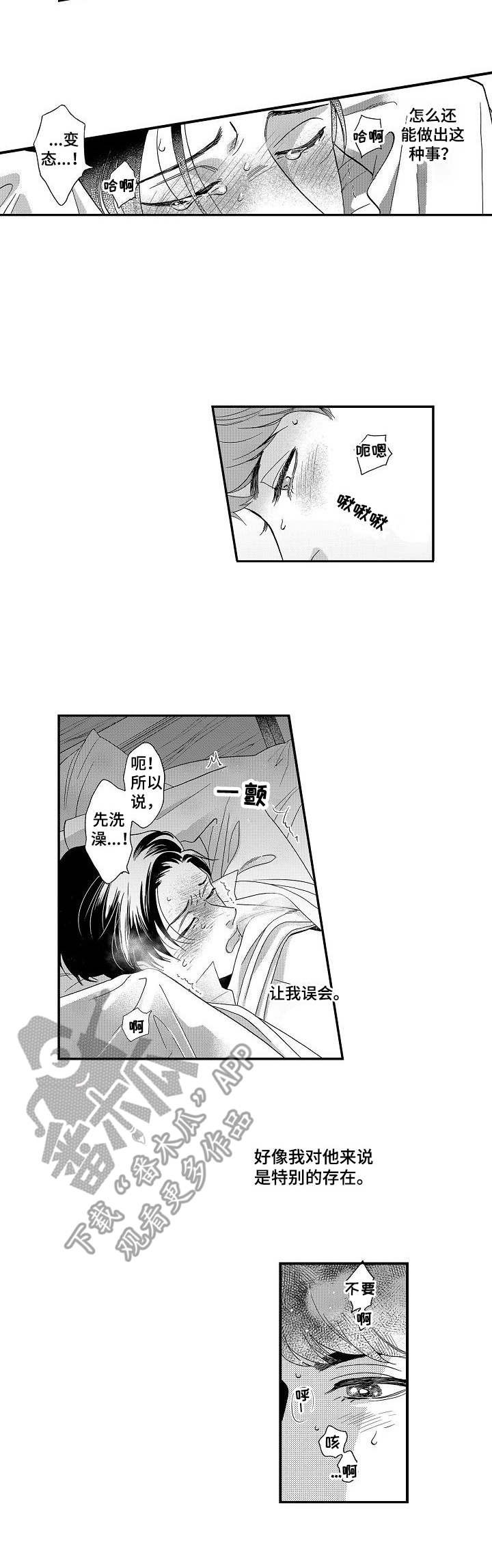第8章：特别的存在