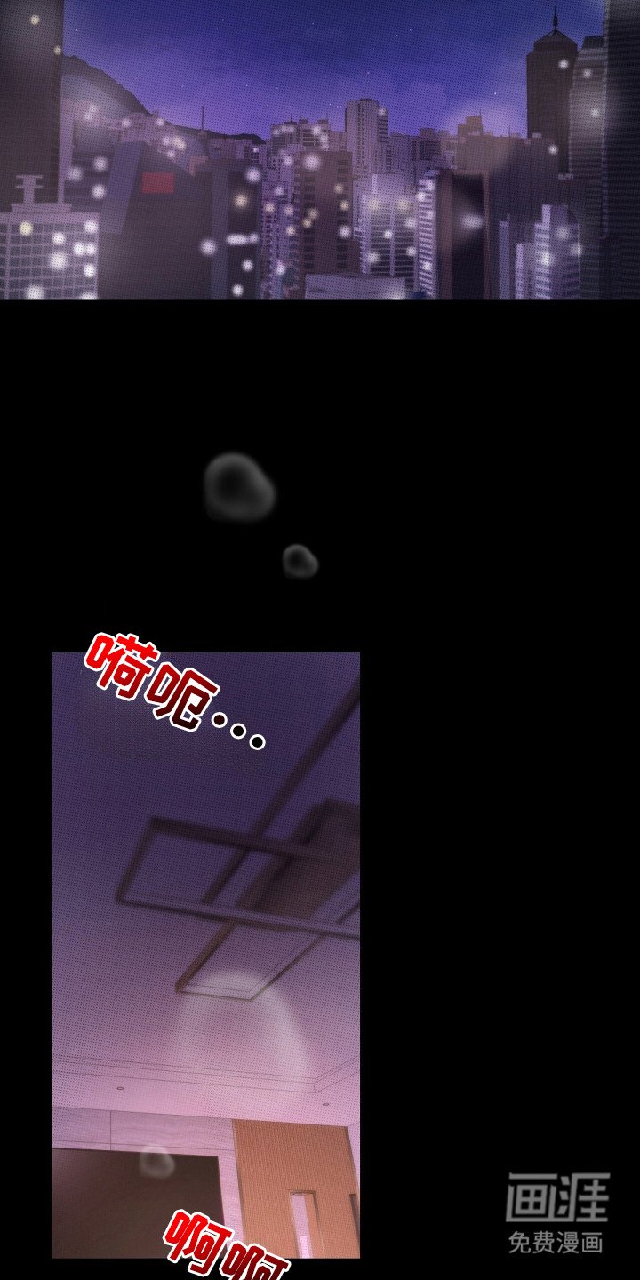 第1章：骑行贵族