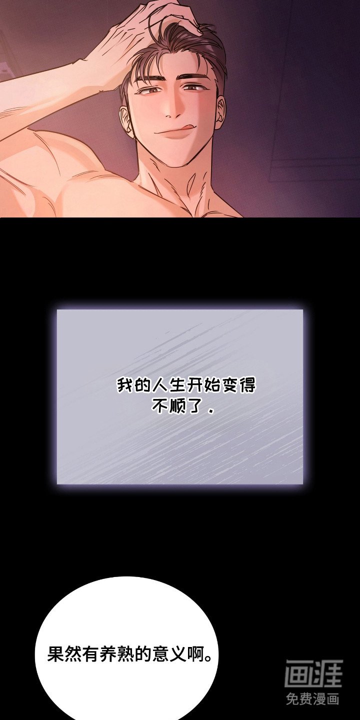 第1章：骑行贵族