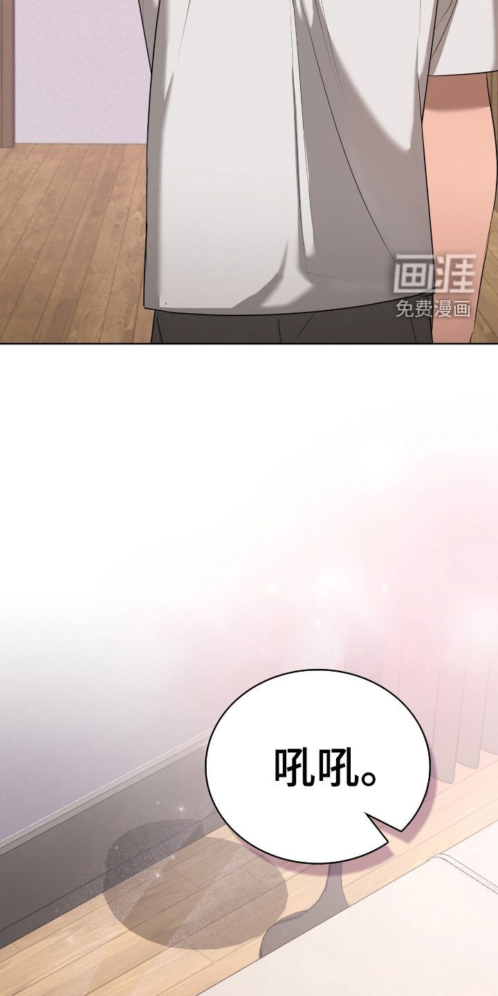 第24章：品味