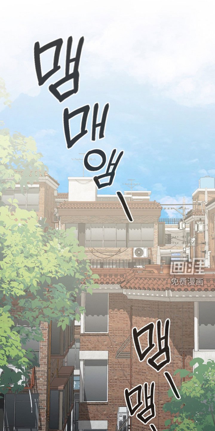 第29章：广告邀约