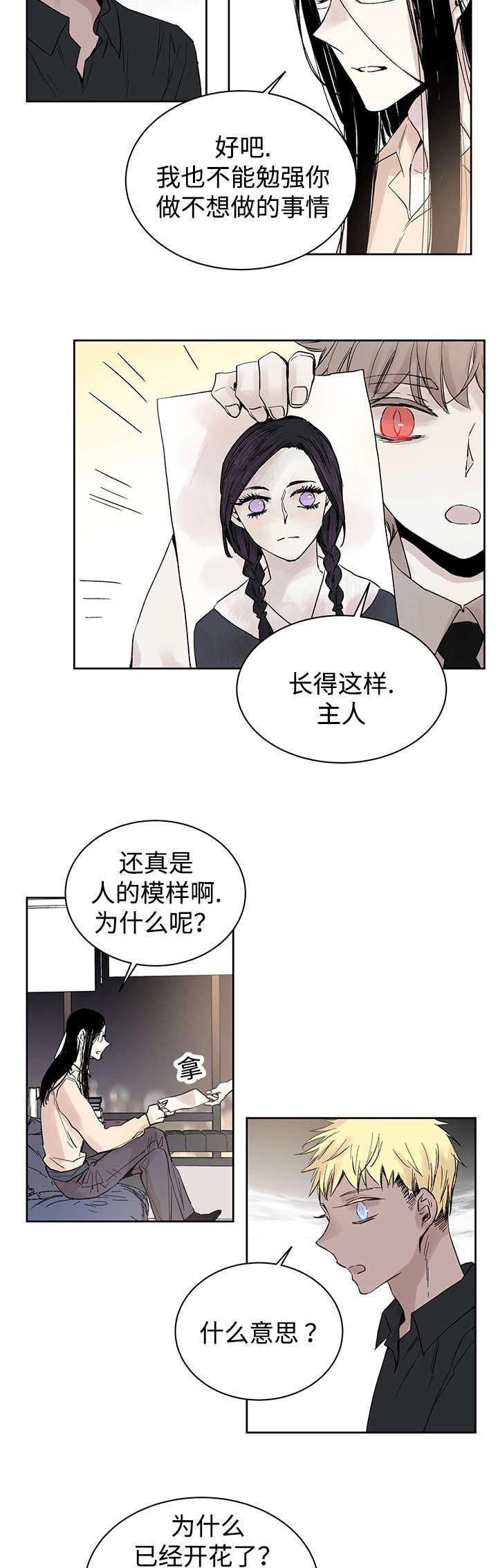 第14章：来客人了
