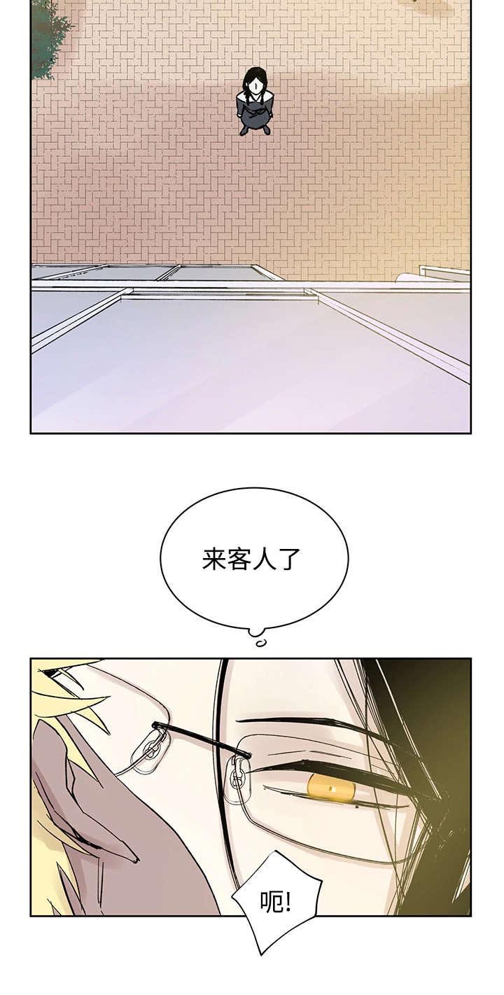 第14章：来客人了