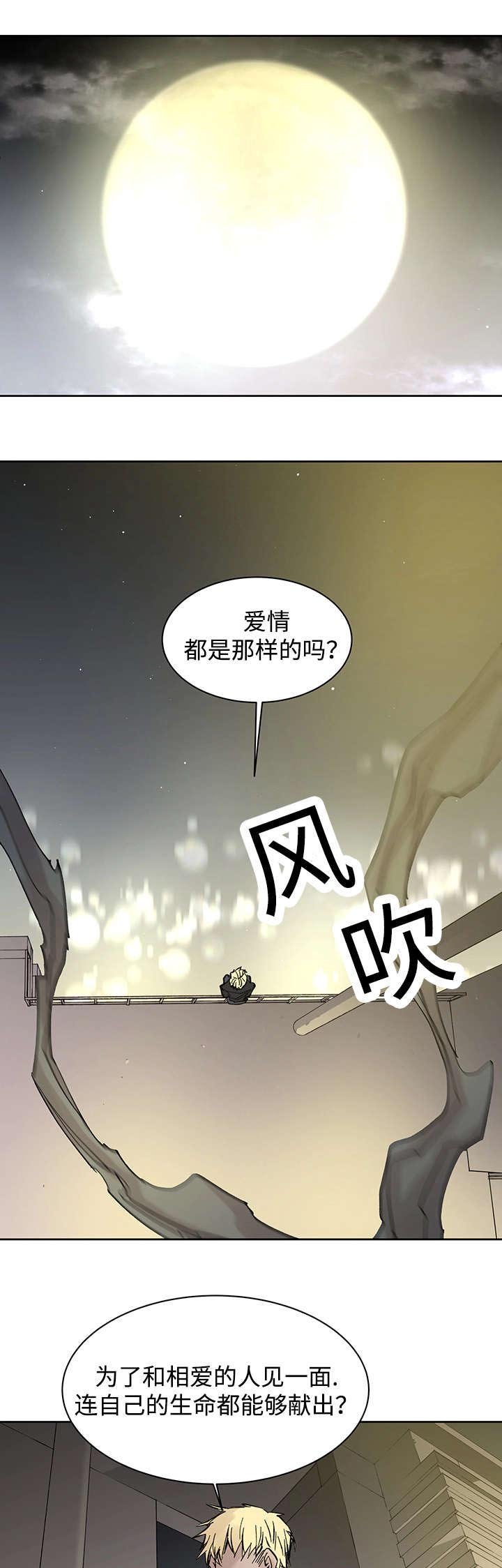 第16章：那就是爱情吗
