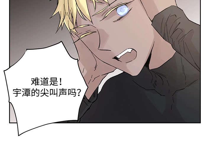 第19章：直觉