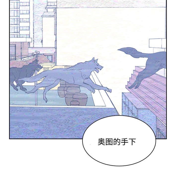 第19章：直觉