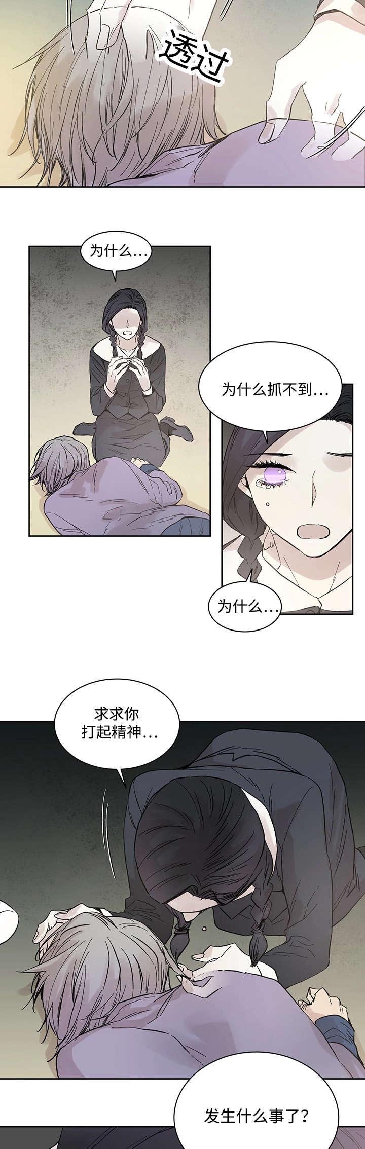 第19章：直觉