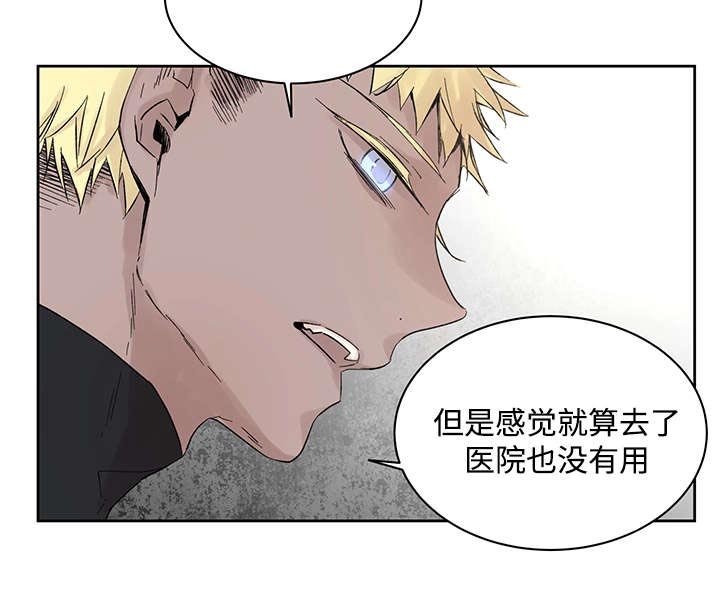 第19章：直觉