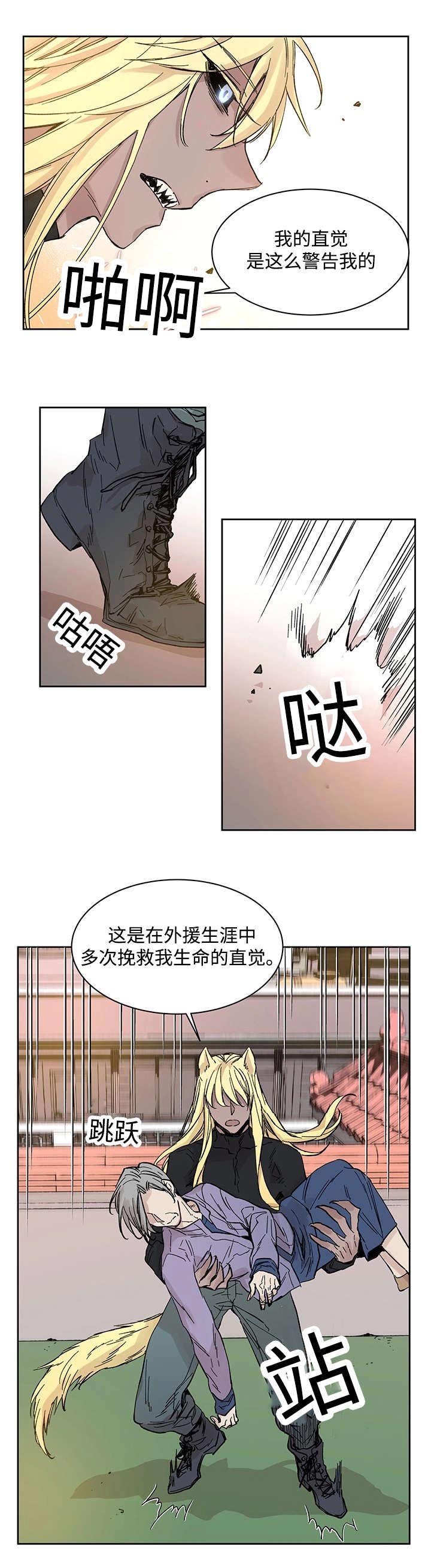 第19章：直觉