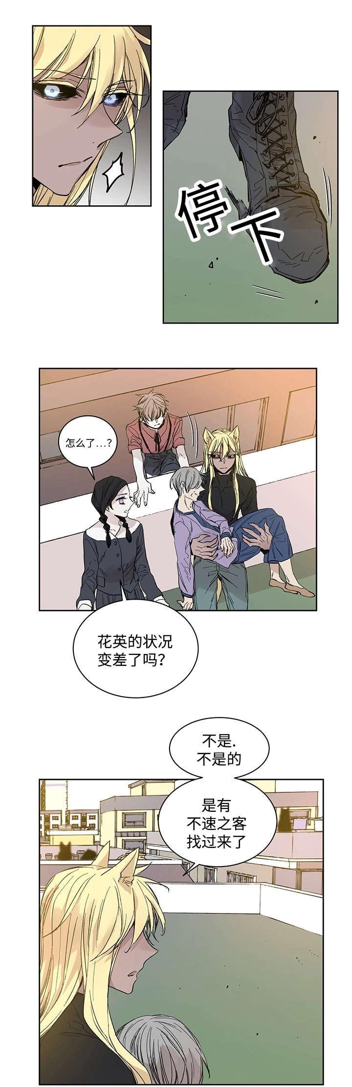 第20章：伊雷穆斯