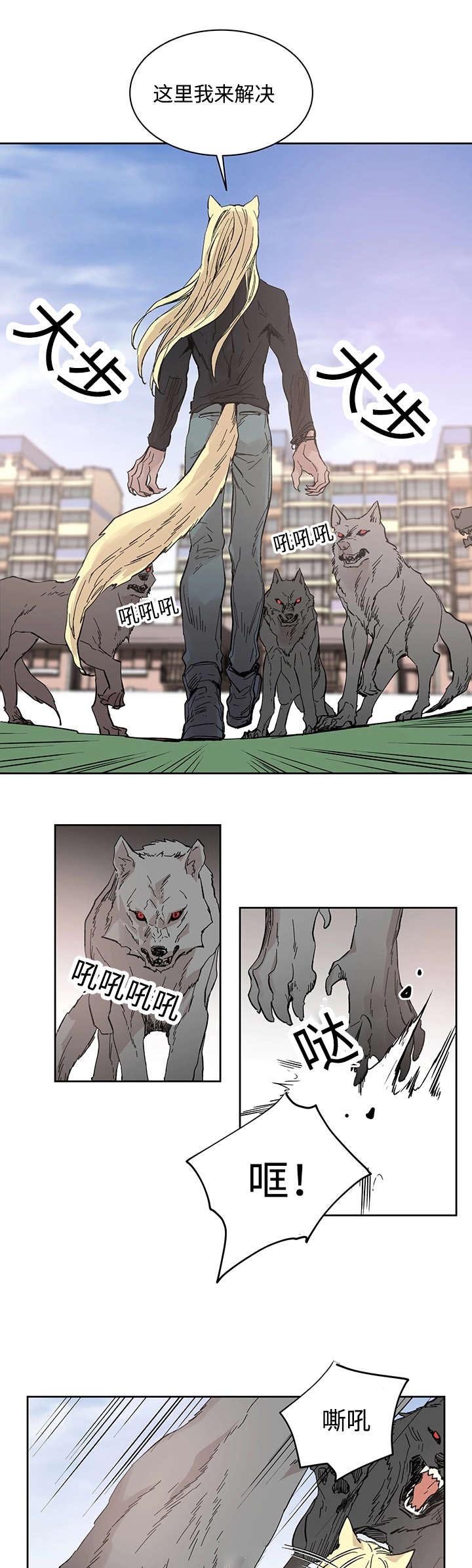 第20章：伊雷穆斯