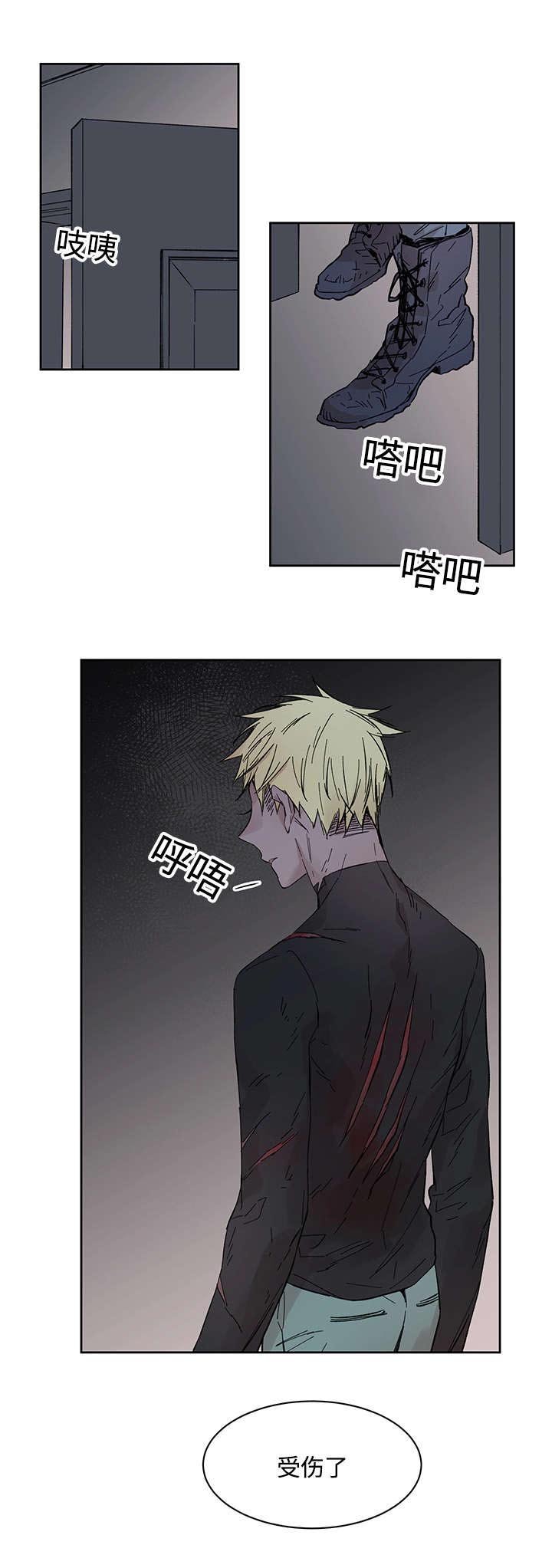 第21章：受伤返回