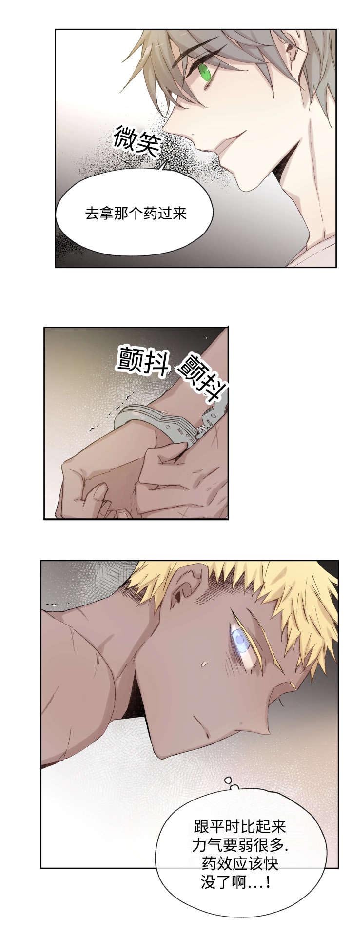第36章：药