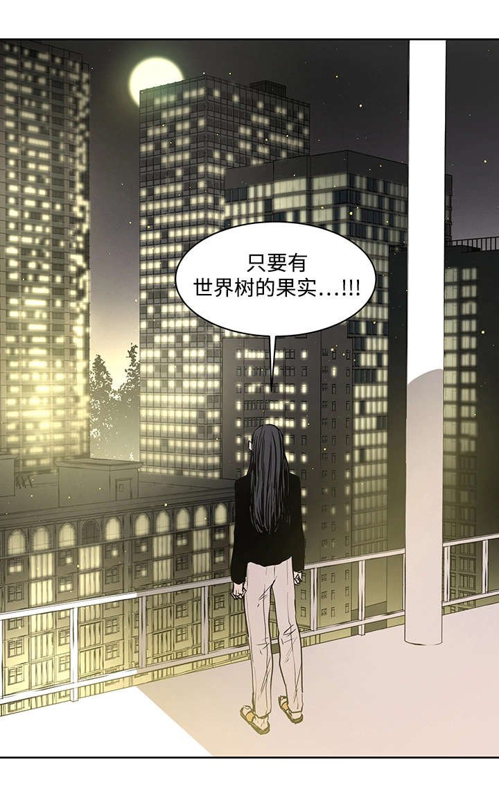第4章：世界树果实