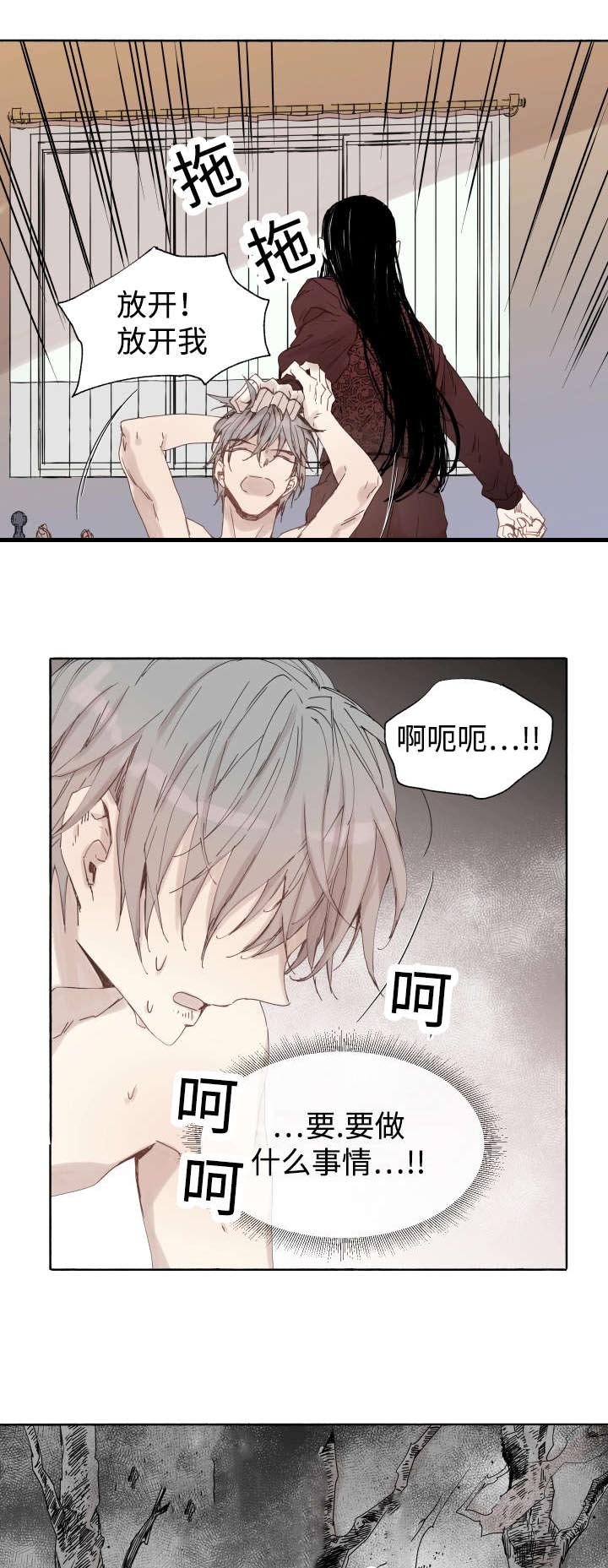 第41章：为什么会这样