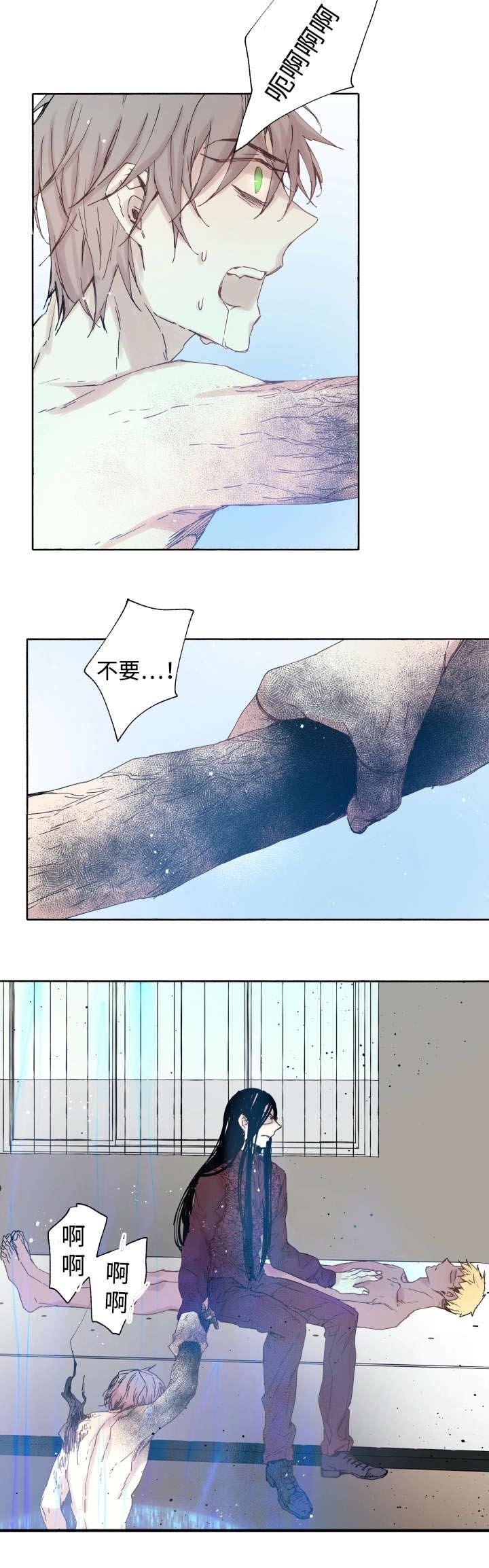 第41章：为什么会这样