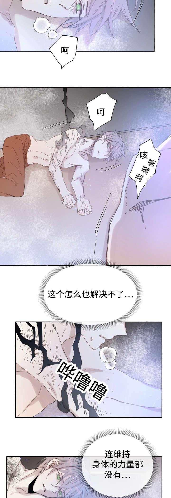 第41章：为什么会这样
