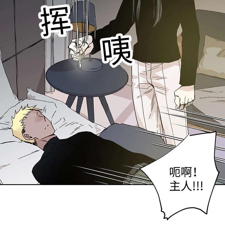 第6章：不能随便做