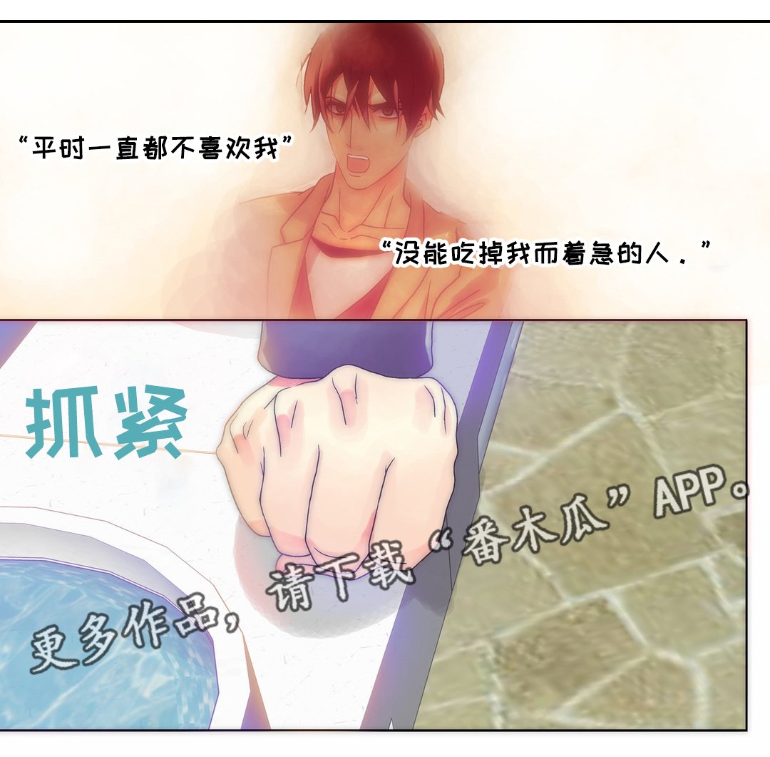 第15章：打算追你