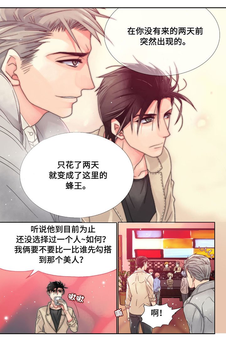 第5章：美人
