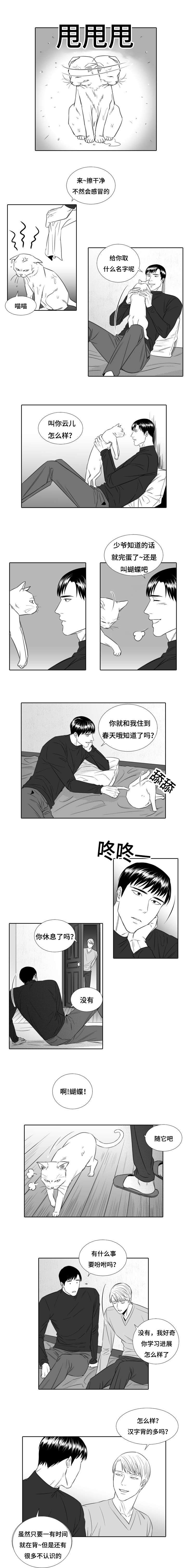 第21章：开始吧
