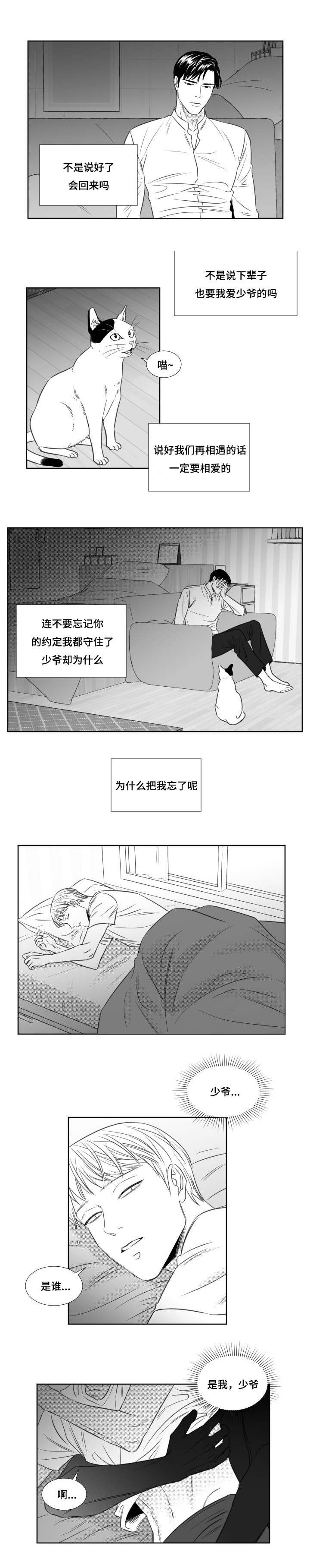 第82章：缘分注定