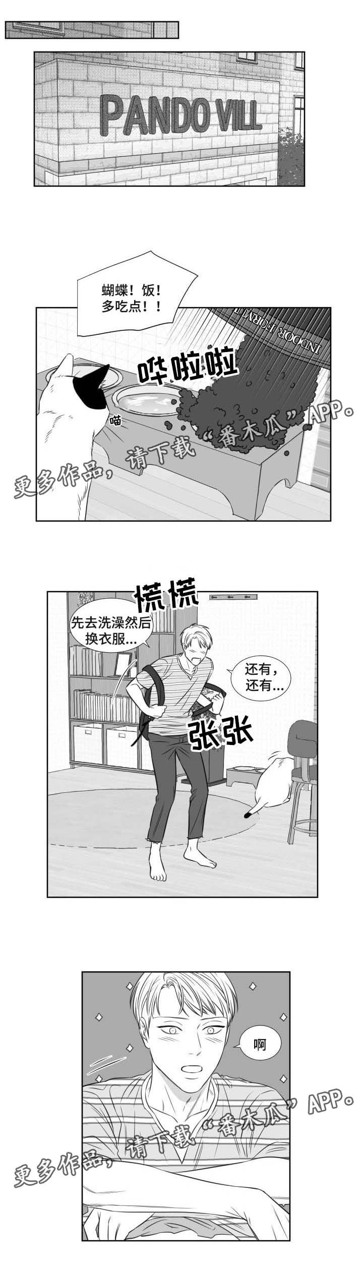 第98章：约会